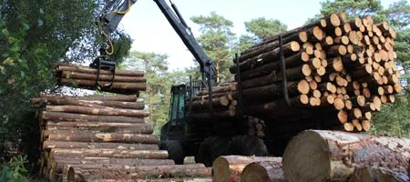 Holzvermarktung FBG Celler Land